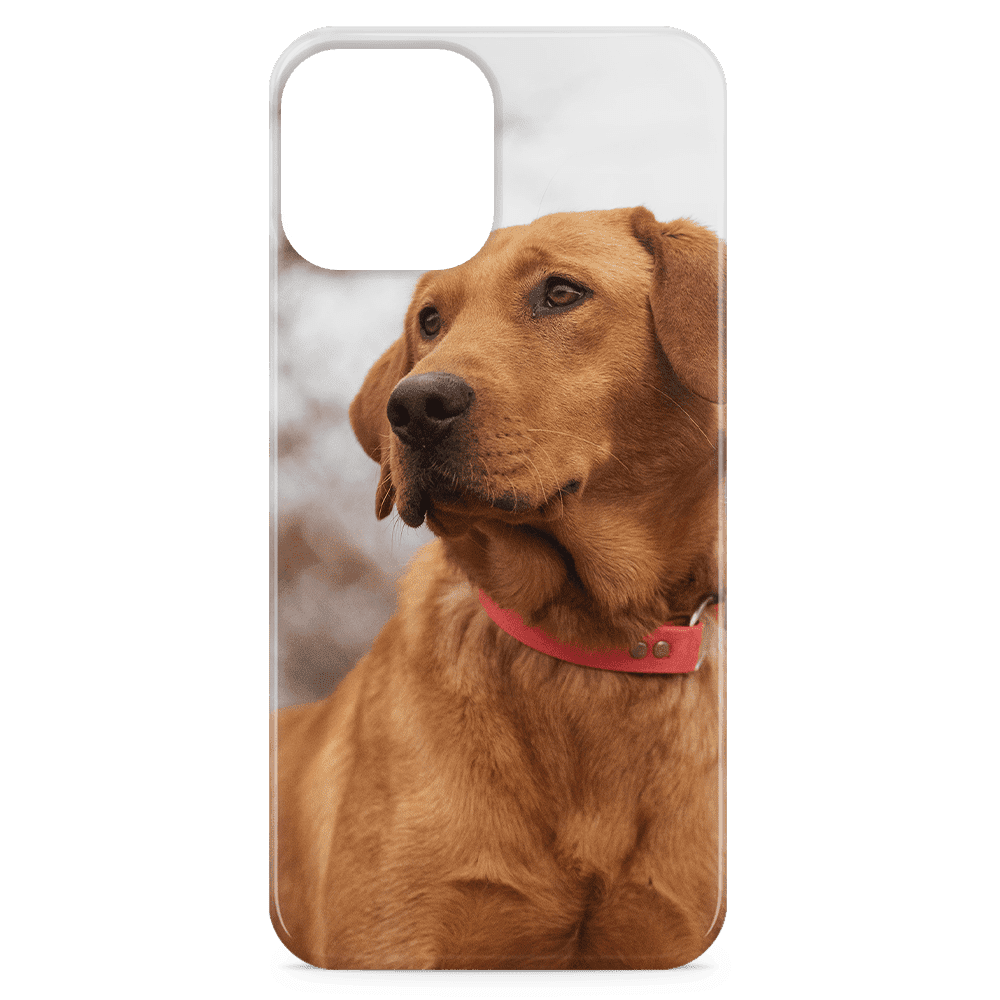 iPhone 12 Pro Photo Case - Snap On